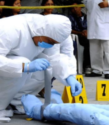 Captura de pantalla 2026-01-04 132351